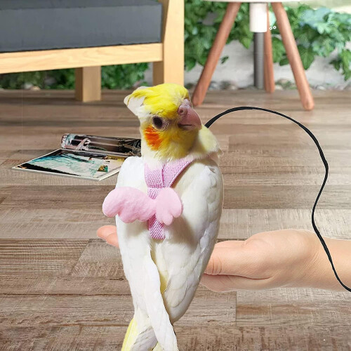 Adjustable Bird Harness With 80 Inch Leash Outdoor Flying Kit Training Rope For Birds Parrots Cockatiel on OnBuy