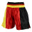 (Medium) Playwell Boxing Competition Satin Training Shorts - Black/Yellow 2