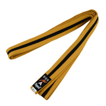 (300 cm) Playwell Choi Belt: Satin Gold Belt With Black Stripe