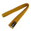 (250 cm) Playwell Choi Belt: Solid Plain Gold Belt 1