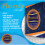 Phoenix 24 Rolls Phoenix Multipurpose Kitchen Towel 4