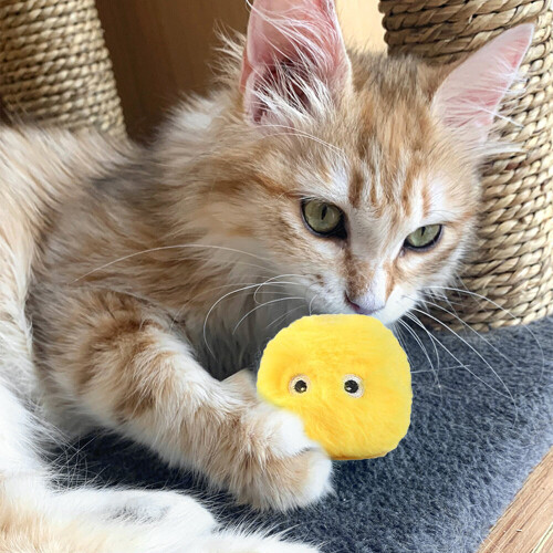 3-Pack Fluffy Plush Cat Ball Toys Interactive Chirping Balls Cat Training Toy 2