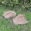 Selections Hedgehog House Nesting Straw Bedding Material 300g 3