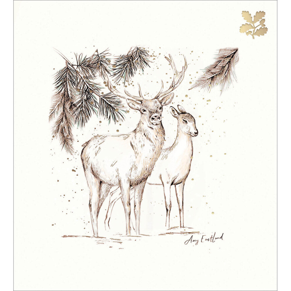 Woodmansterne Pack Of 5 National Trust Stag & Doe Charity Christmas Cards Foiled Xmas Cards