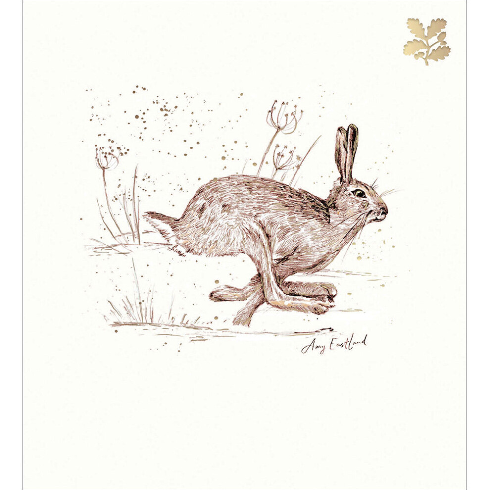 Pack of 5 National Trust Festive Hare Charity Christmas Cards Foiled Xmas Cards