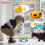 Χορεύοντας καβούρι παιχνίδι Baby Crawling Crab Toy με μουσική και Led Light up 9