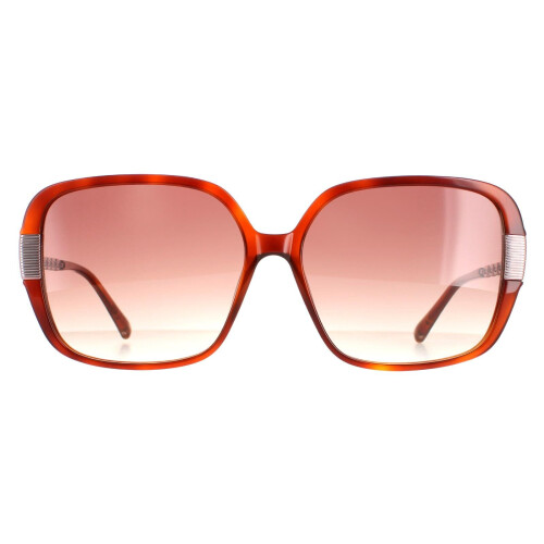 Ted Baker Ted Baker Sunglasses TB1616 Indi 307 Tortoise Brown Brown Gradient