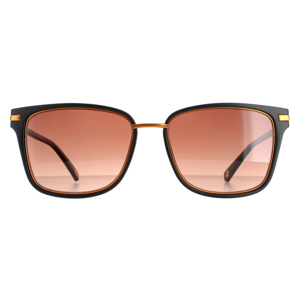 Ted Baker Sunglasses Tb1620 Mata 001 Black Brown Gradient Black,Brown