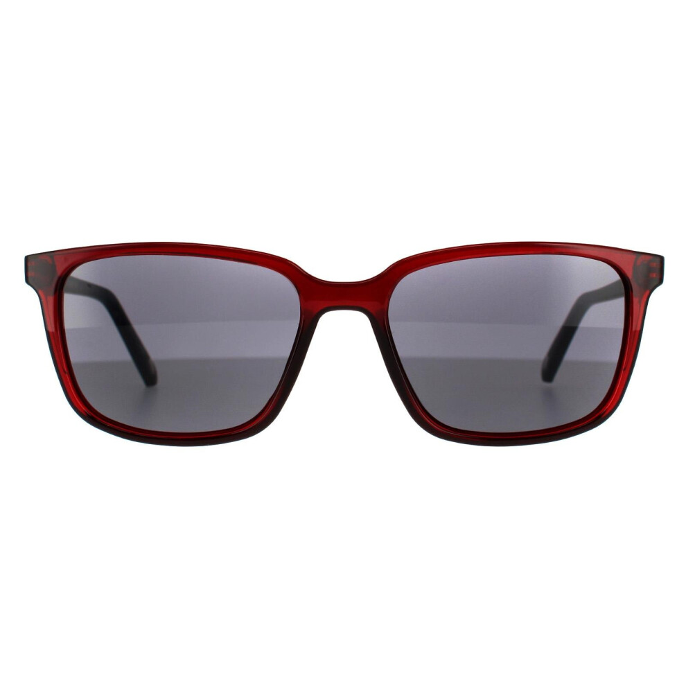 Ted Baker Sunglasses Farley TB1529 200 Burgundy Green