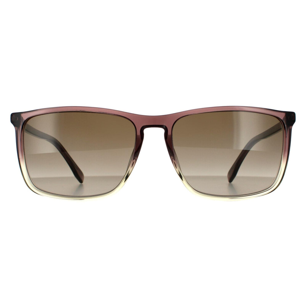 Hugo Boss Sunglasses BOSS 0665/S/IT NUX HA Brown Grey Brown Gradient