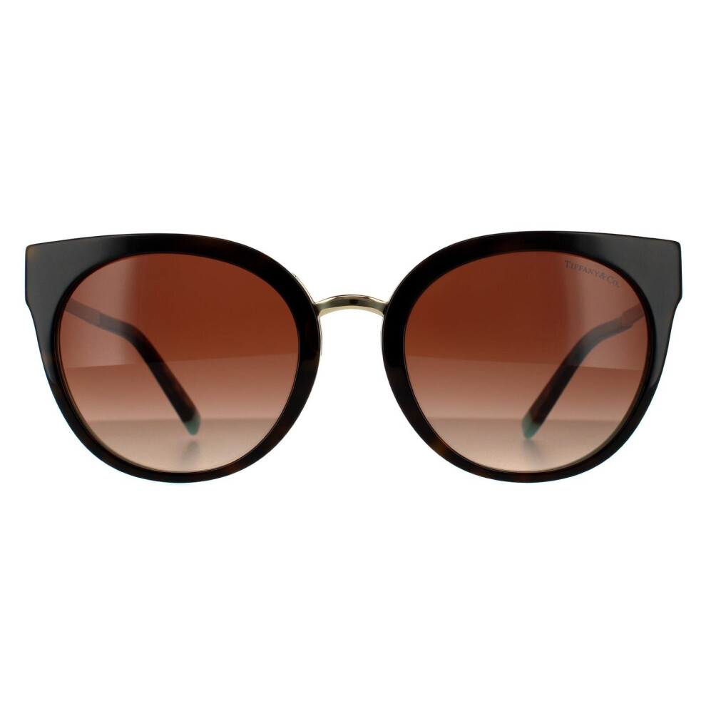 Round Havana On Blue Brown Gradient Sunglasses