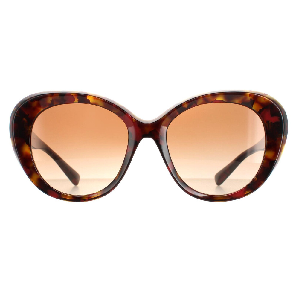 Fashion Red Havana Brown Gradient VA4113 Sunglasses