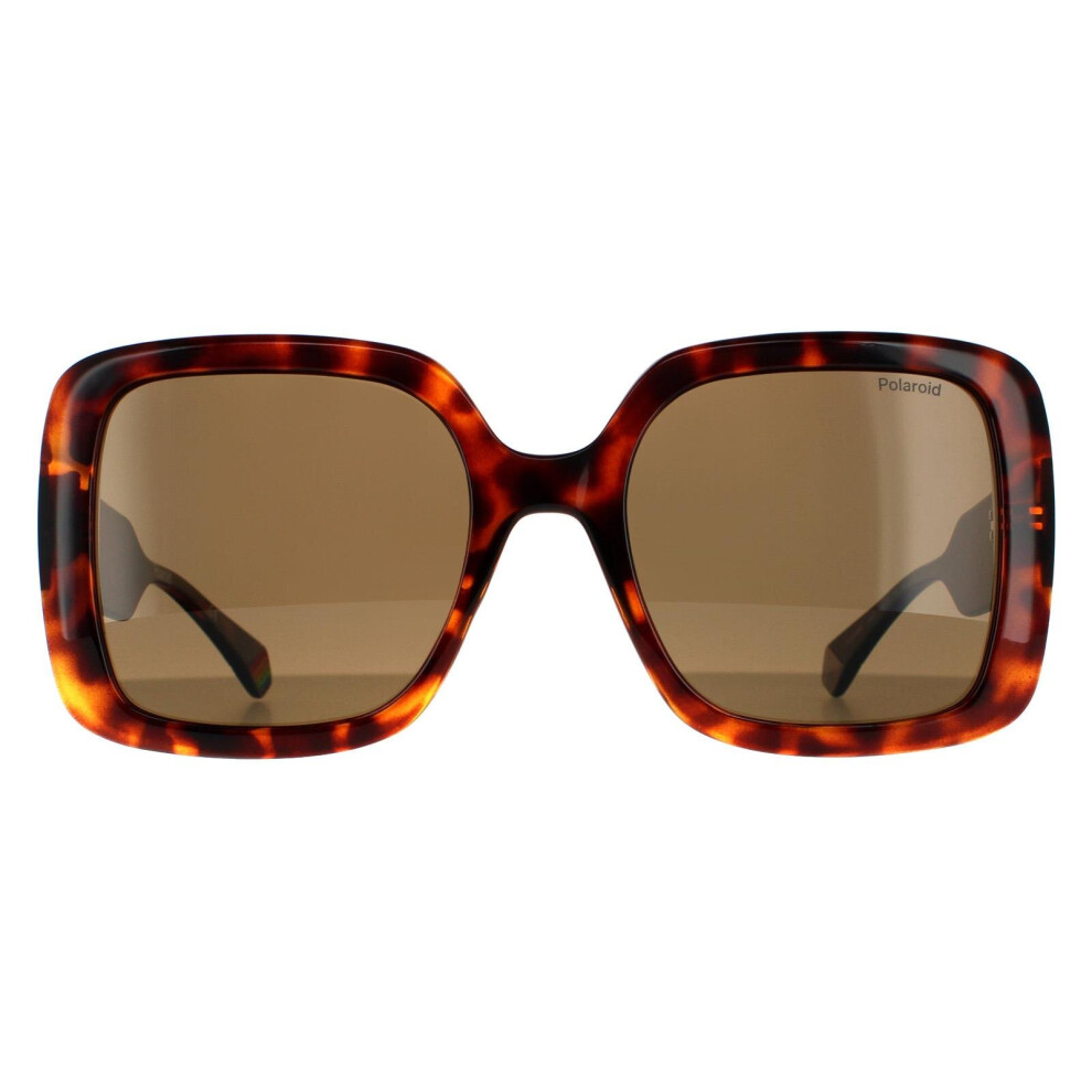 Polaroid Sunglasses Pld 6168/S 086 Sp Dark Havana Bronze Polarized Brown