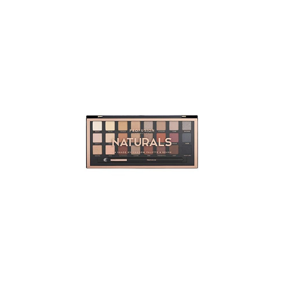 Profusion Cosmetics Light - Professional Artistry Pro Eyeshadow Palette, Natural