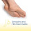 Scholl Dr. Scholl's Βalm Αποκατάστασης για Σοβαρές Ραγισμένες Φτέρνες 2.5oz, με 25% Ουρία 3