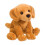 Douglas Douglas Gracie Golden Retriever Dog   e???d??a ?e  ?st? ??a 1