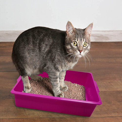(Pink) Kitten Cat Litter Tray Pet Cage Base 36cm 1