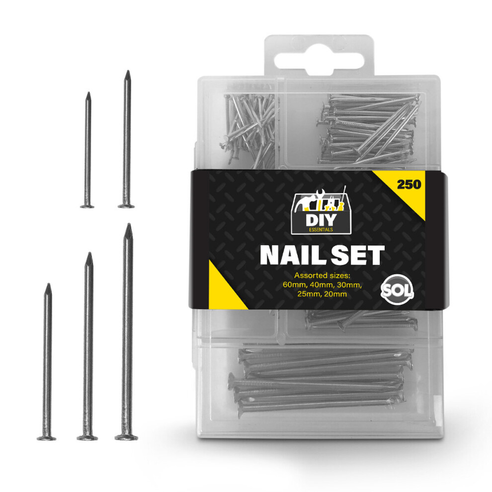 250 x Hardware Assorted Nails Set for DIY and Home Repair