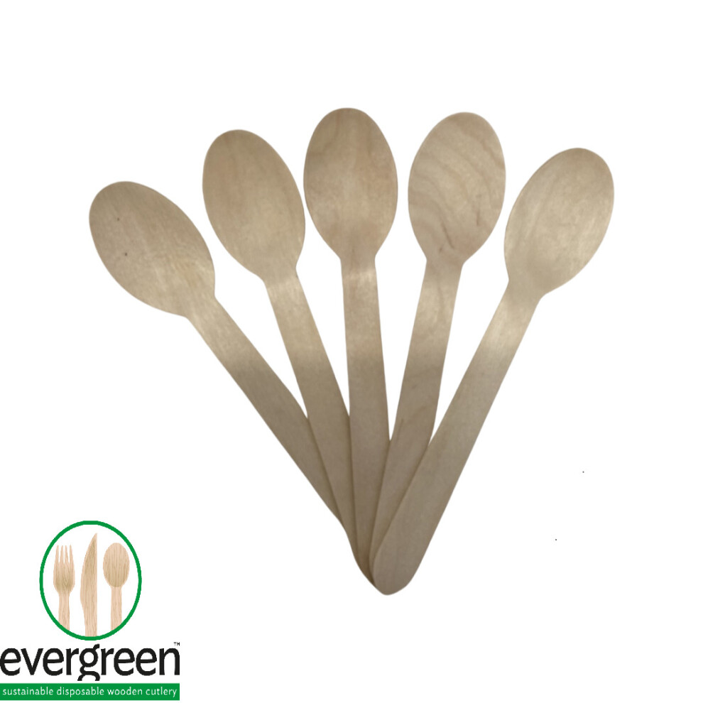 Evergreen (100Pcs Spoons) Biodegradable Wooden Cutlery - Knives, Forks, Spoons - Pack Of 100