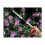 Darlac Snapper Long Reach Pruner DP110-1000 2