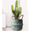 Natural Seagrass Woven Storage Basket For Home Decorations - Blue 3