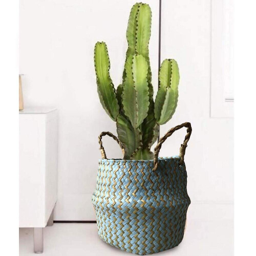 Natural Seagrass Woven Storage Basket For Home Decorations - Blue 2