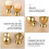 Egg Cups Set Stainless Steel Soft Tray Tool Holders Kitchen, Gold 2