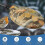 Protable Bird Bath De-icer Heater Outdoors Pond De-icer(colorful) 3