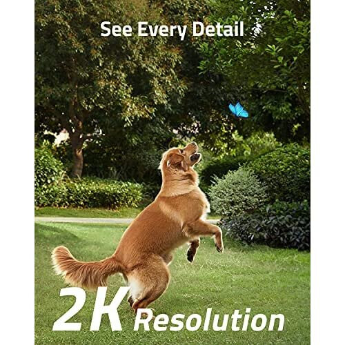 Eufy eufy Security SoloCam S40 Wireless Outdoor Solar Security Camera, Battery Camera, Integrated Solar Panel, Spotlight Camera, 2K Resolution, C 2