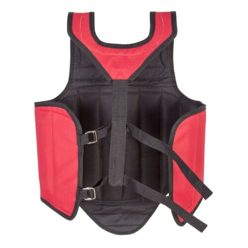(X-Large) Playwell Ultra Thin Reversible Sanda Chest Guard 2