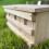 Selections Sparrow Colony Terrace Wooden Nesting Box with Removable Nest Fronts 5