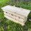Selections Sparrow Colony Terrace Wooden Nesting Box with Removable Nest Fronts 4