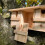 Selections Sparrow Colony Terrace Wooden Nesting Box with Removable Nest Fronts 10