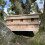 Selections Sparrow Colony Terrace Wooden Nesting Box with Removable Nest Fronts 3