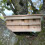 Selections Sparrow Colony Terrace Wooden Nesting Box with Removable Nest Fronts 9