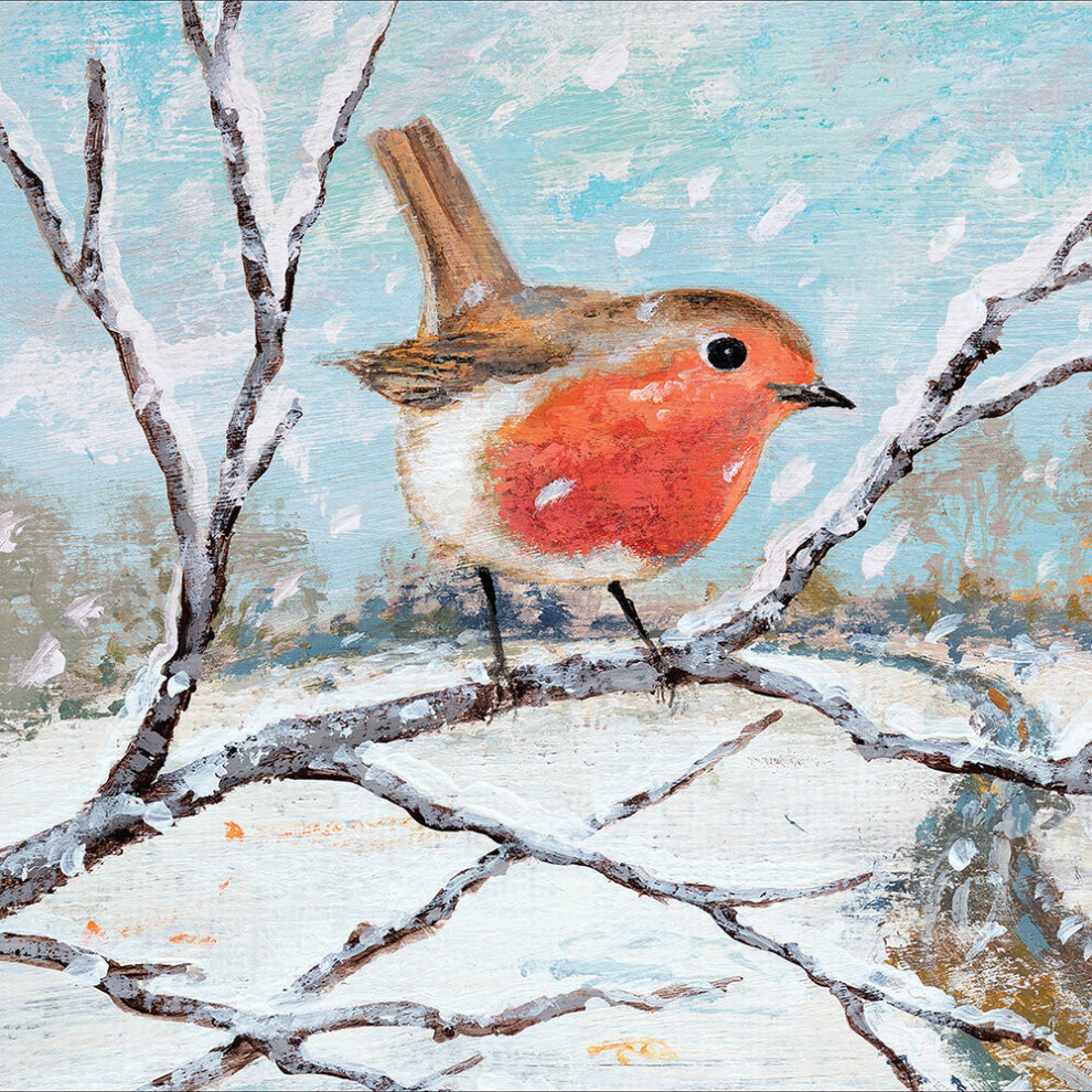 Woodmansterne Winter Robin Festive Watercolour Xmas Scene Christmas Card Xmas Greeting Cards