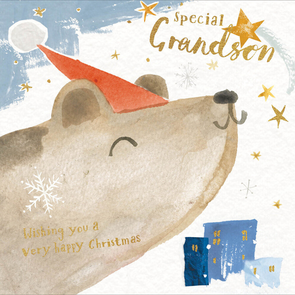 Woodmansterne Special Grandson Wishing You A Very Happy Christmas Card Xmas Greeting Cards