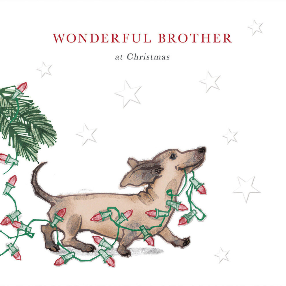 Wonderful Brother At Christmas Dachshund Christmas Card Xmas Greeting Cards