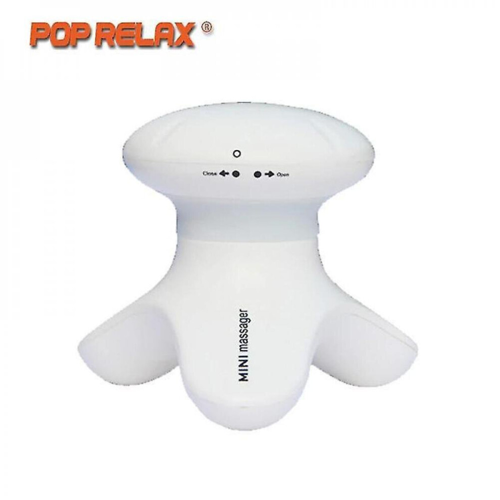 Hkhbjs White Minivibrator Electric Head Scalp Vibrating Massage Hand Massager|Relaxation Treatments(White)