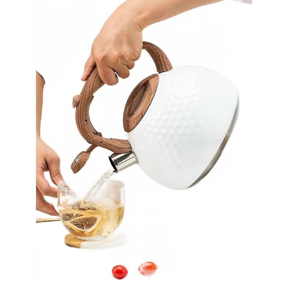 2.8l Whistling Kettle Stainless Steel Tea Pot Gas Stove Induction Cooker Water Kettles-image-OPC-P9YPZYR-NEW