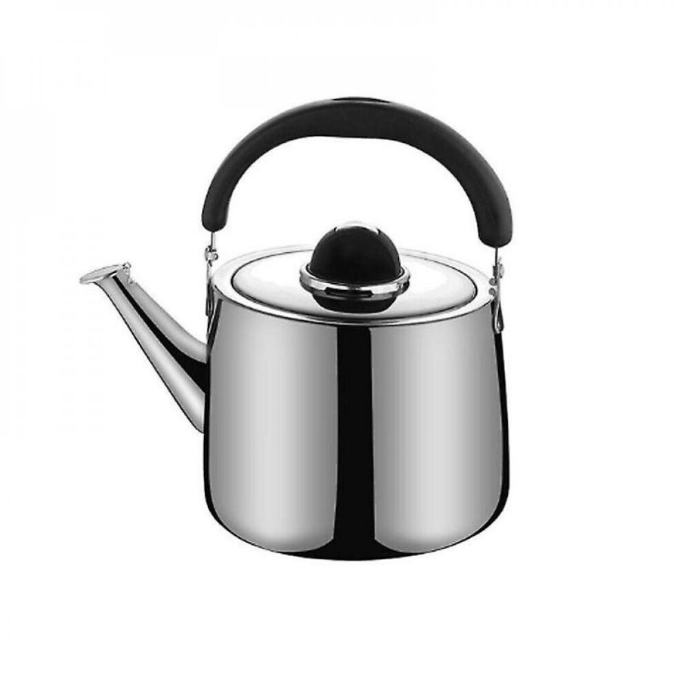 5l 304 Stainless Steel Boiling Water Pot Rapid Heating For Home Tea Kettle Large Capacity Teapot-image-OPC-P9YPZZ5-NEW