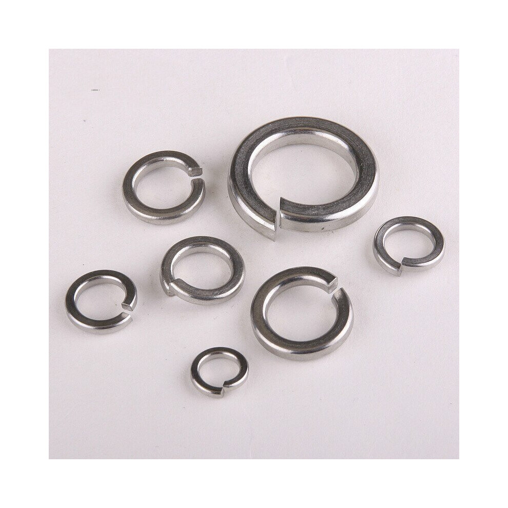 25PCS 316 Stainless Steel Shells Pad Spring Washer    M6-image-OPC-P9YWGBC-NEW