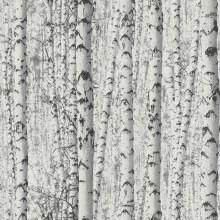 AS Creation Tree Nature Scene Grey White Paste The Wall Vinyl Textured Wallpaper