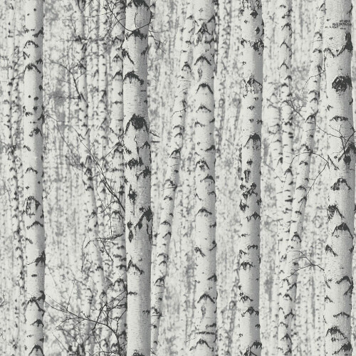 AS Creation AS Creation Tree Nature Scene Grey White Paste The Wall Vinyl Textured Wallpaper