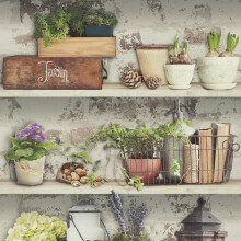 Shades Flower Pots Wallpaper Garden Rustic Shelves Distressed Green