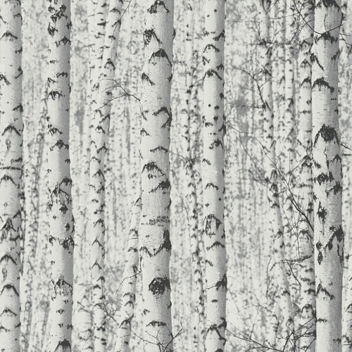 AS Creation AS Creation Tree Nature Scene Grey White Paste The Wall Vinyl Textured Wallpaper 1