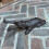 Selections Cast Iron Dog Shape Garden & Patio Boot Jack 5