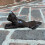Selections Cast Iron Cat Decorative Door Wedge Doorstop 9