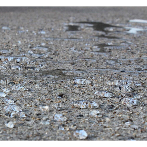 (5 Litres) Concrete Dustproofer - Solvent Based Sealer For External Use Only (Unless Well Ventilated) 2