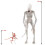 NECA Official NECA Alien Covenant - 7" Scale Action Figure - Neomorph 7